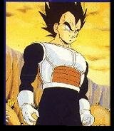 vegeta725mp